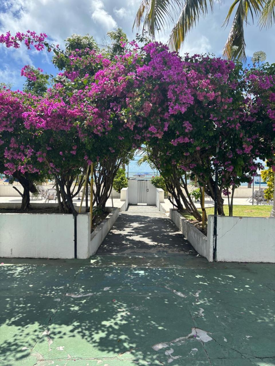Apto 3 Quartos Pe Na Areia Prox De Recife Esterno foto